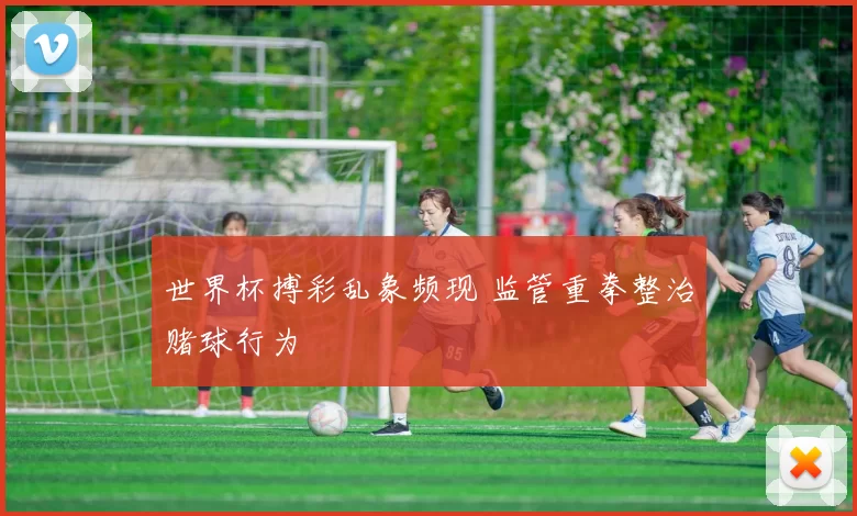 世界杯搏彩乱象频现 监管重拳整治赌球行为
