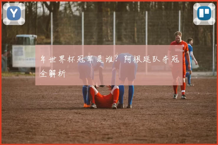 年世界杯冠军是谁？阿根廷队夺冠全解析