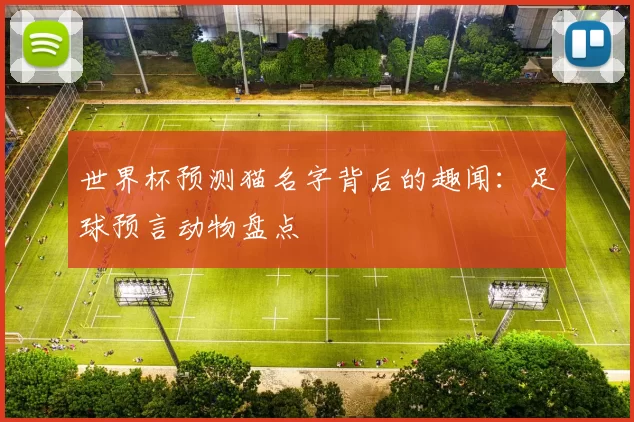 世界杯预测猫名字背后的趣闻：足球预言动物盘点