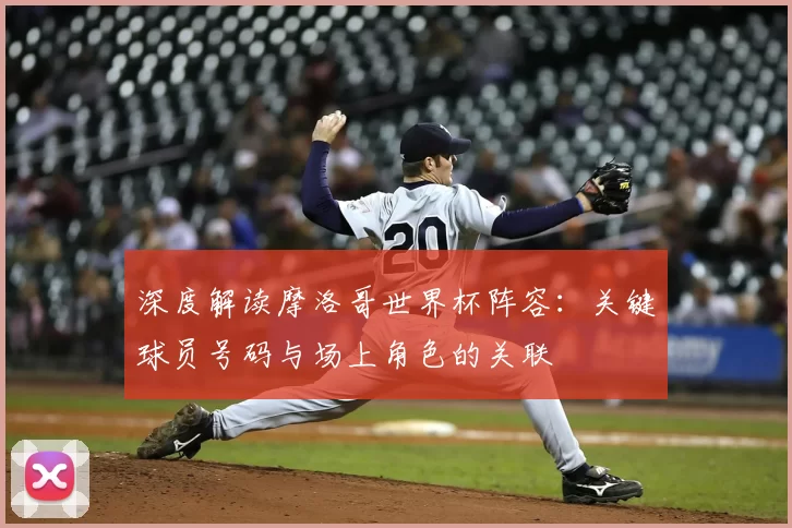 深度解读摩洛哥世界杯阵容:关键球员号码与场上角色的关联