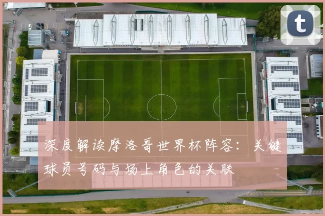 深度解读摩洛哥世界杯阵容：关键球员号码与场上角色的关联