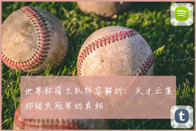 世界杯荷兰队阵容解析：天才云集却错失冠军的真相