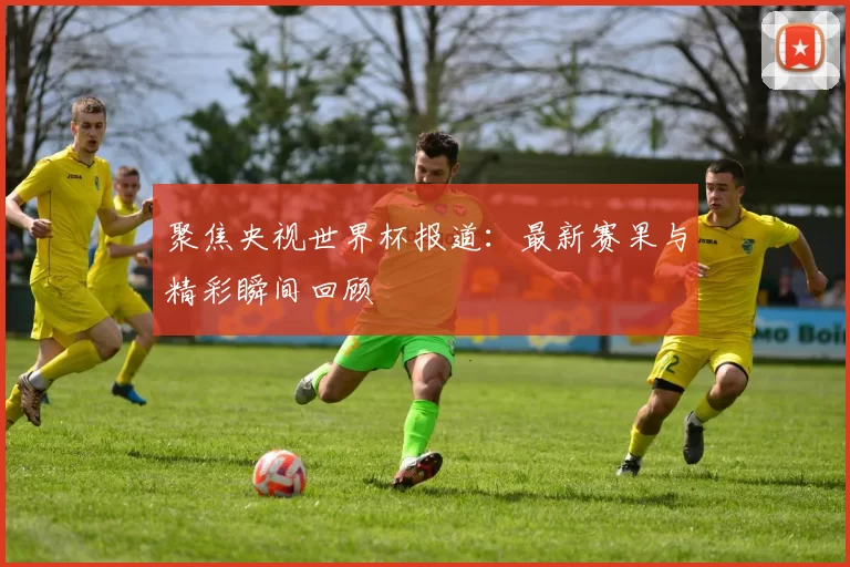 聚焦央视世界杯报道：最新赛果与精彩瞬间回顾