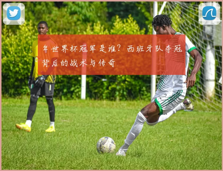 年世界杯冠军是谁？西班牙队夺冠背后的战术与传奇
