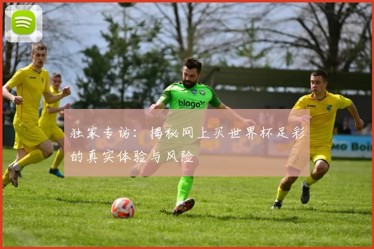 独家专访：揭秘网上买世界杯足彩的真实体验与风险