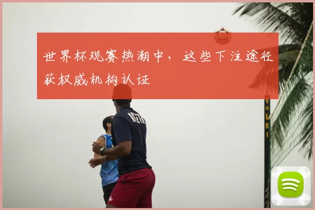 世界杯观赛热潮中,这些下注途径获权威机构认证