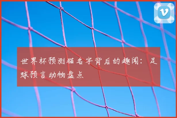 世界杯预测猫名字背后的趣闻：足球预言动物盘点
