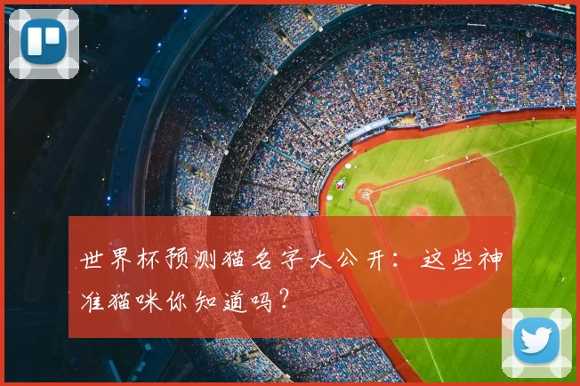 世界杯预测猫名字大公开：这些神准猫咪你知道吗？