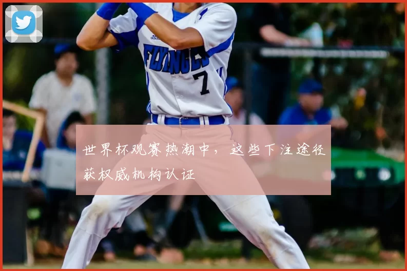 世界杯观赛热潮中,这些下注途径获权威机构认证