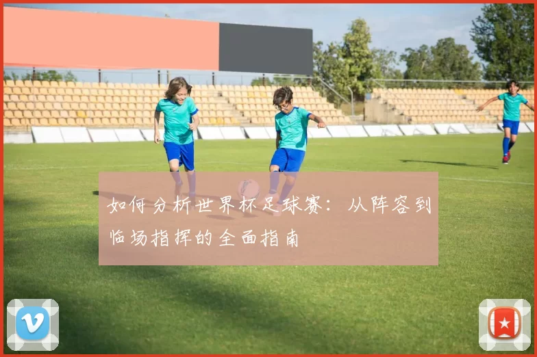 如何分析世界杯足球赛:从阵容到临场指挥的全面指南