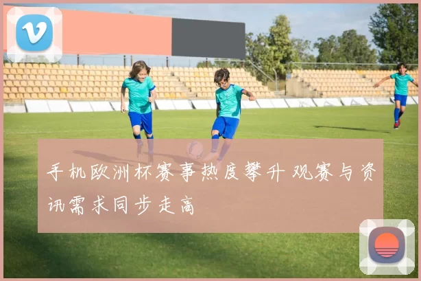 手机欧洲杯赛事热度攀升 观赛与资讯需求同步走高